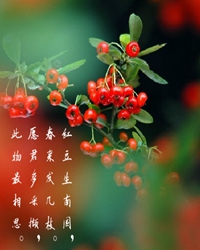 兩地相思，紅豆紅（外二章）