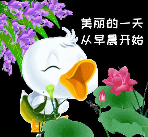 【丹楓】淘氣兒歸遲了（八幕話劇）