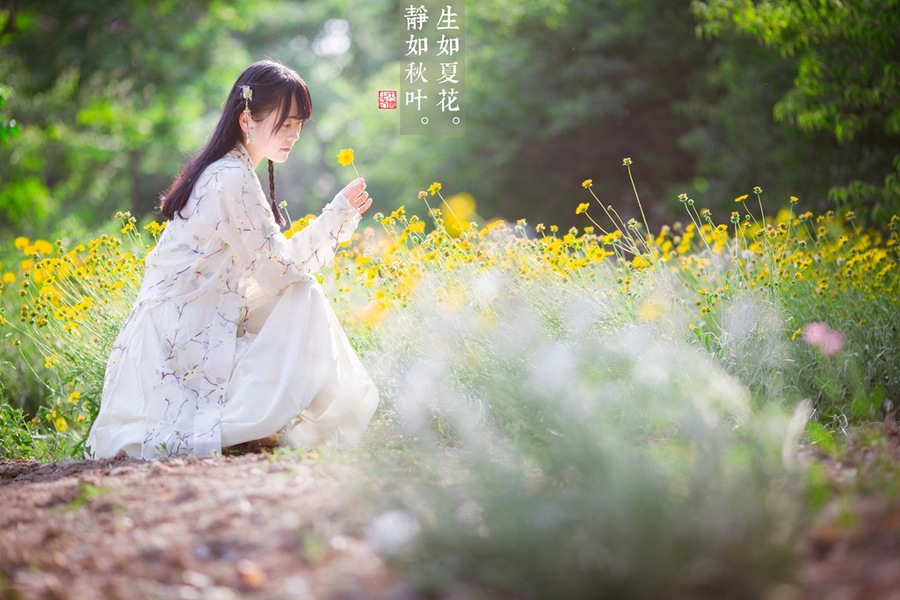 【丁香?守望花開】生如夏花（散文）