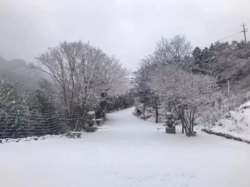 【丁香·愛(ài)心】走過(guò)落雪的大地（散文）