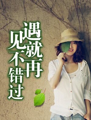 【柳岸】如果遇見，請不要錯過（小說）