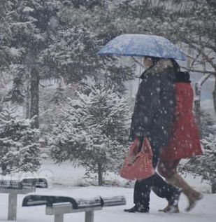 【八一】又下雪了（隨筆·家園）